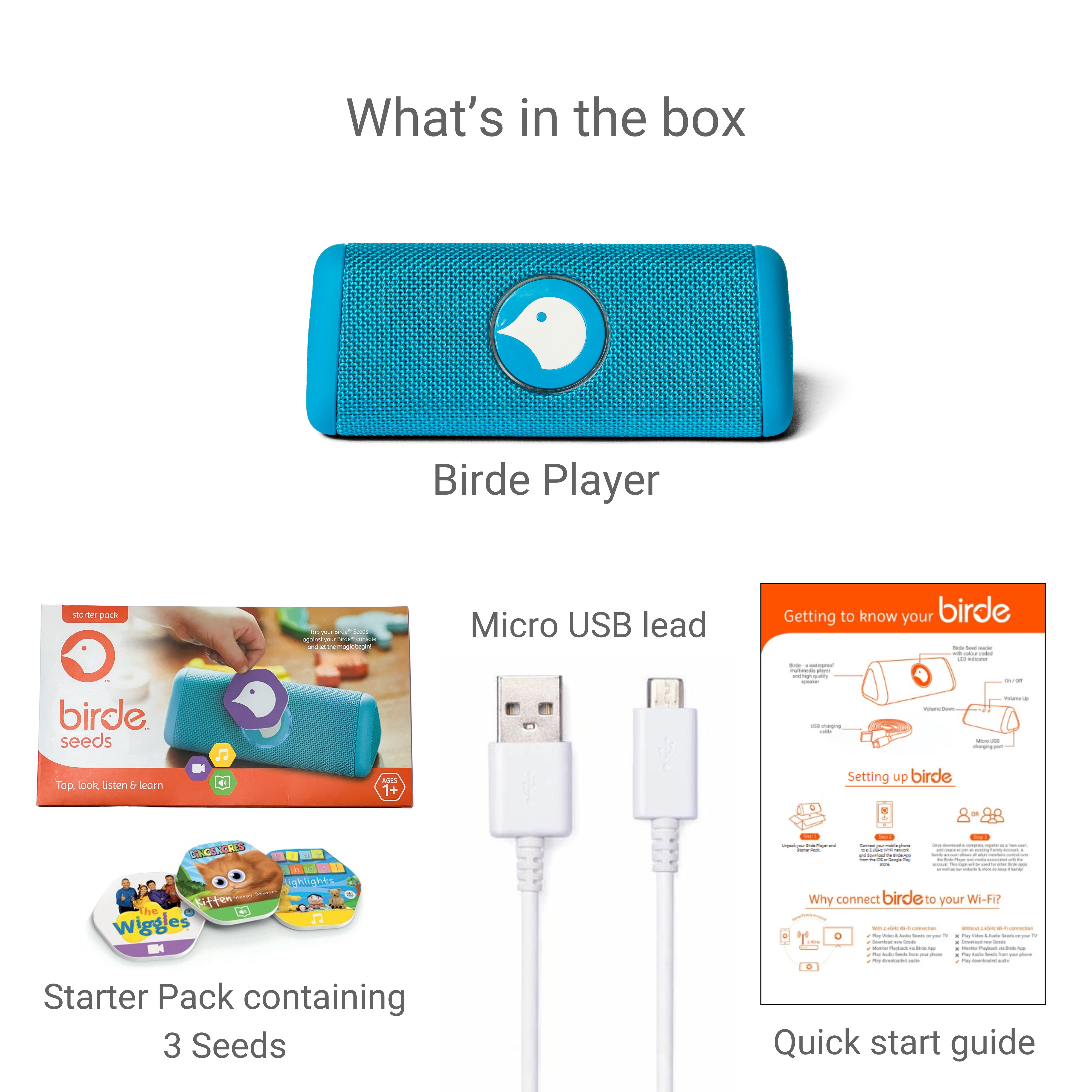 Birde Player - Blue Bundle