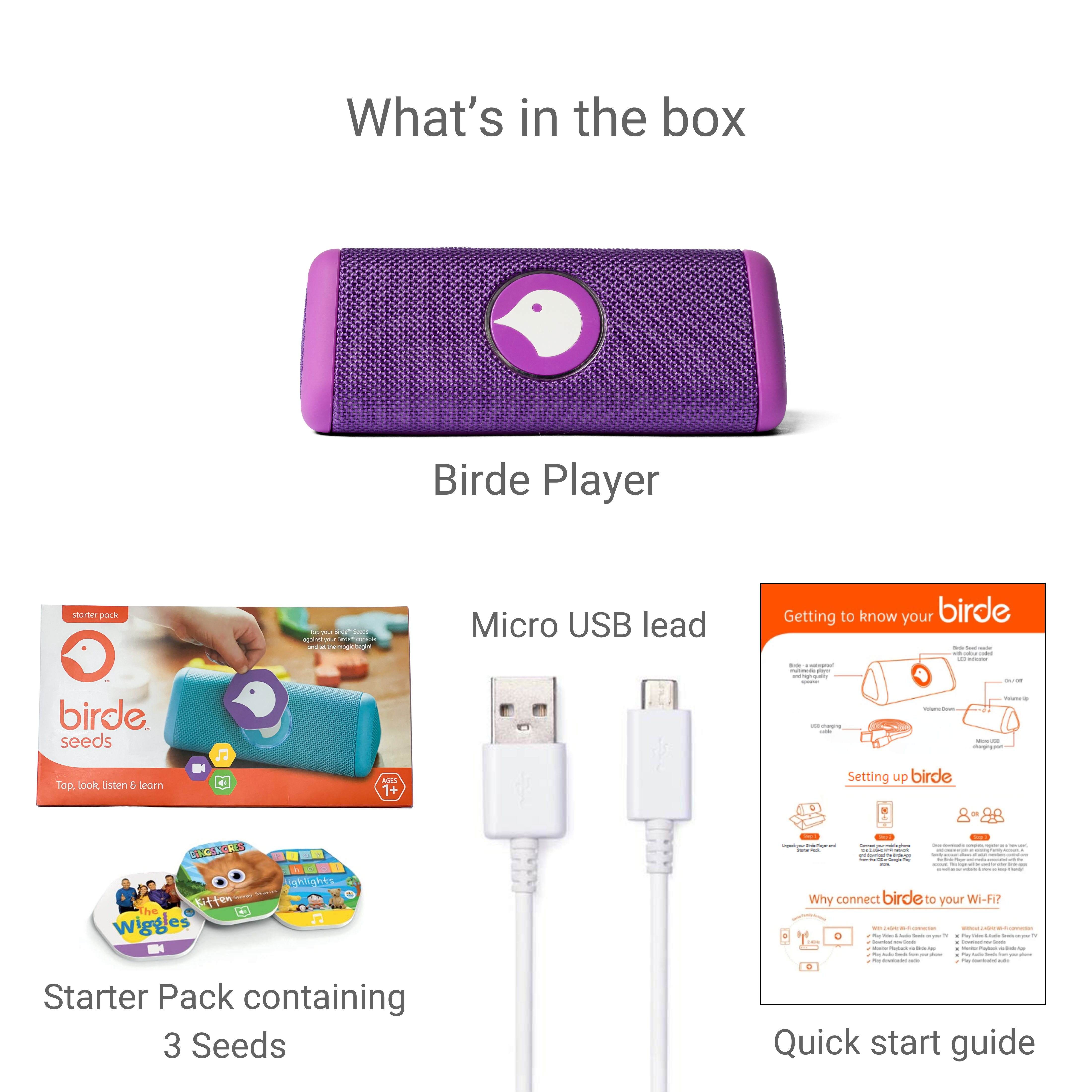 Birde Player  - Purple Bundle