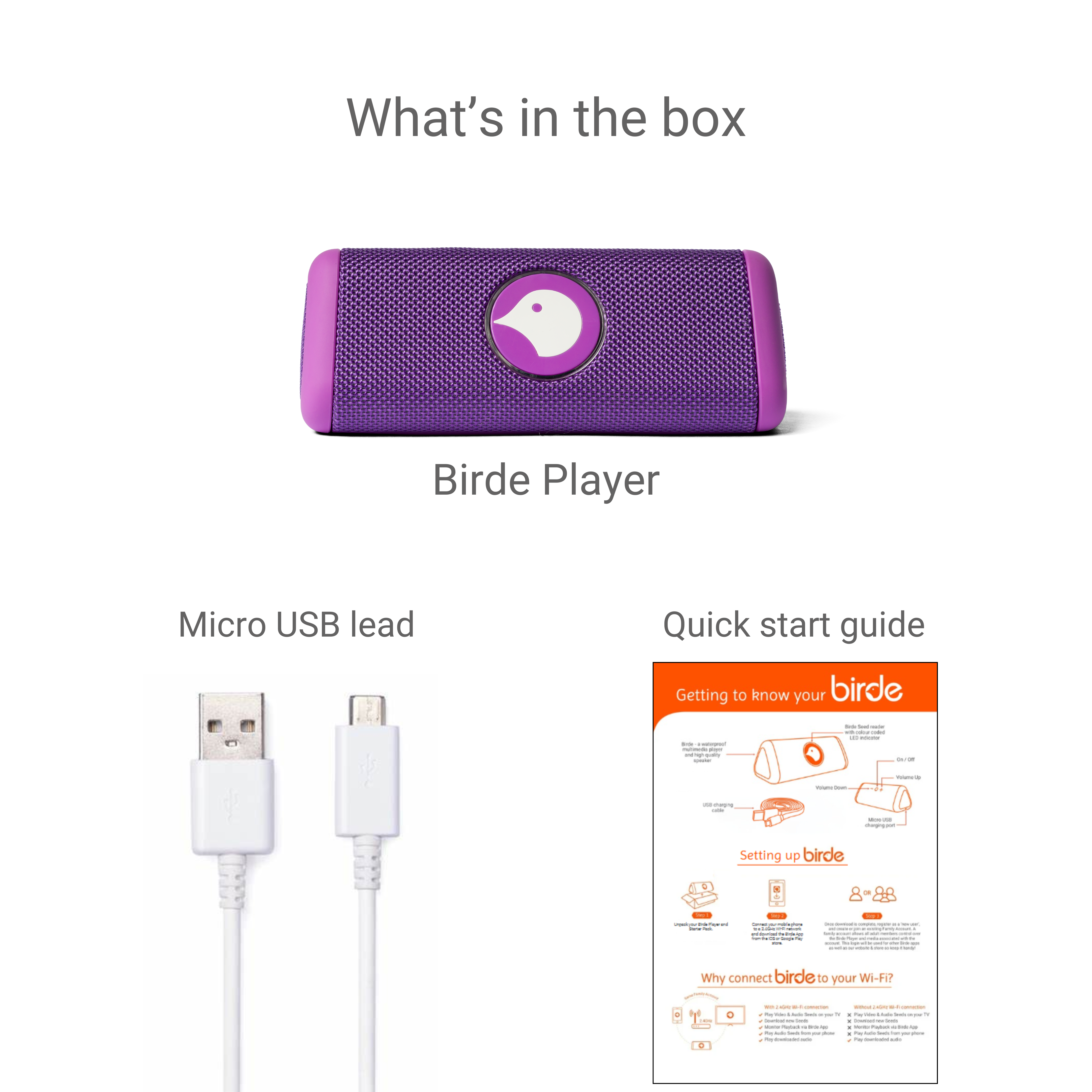 Birde Player  - Purple