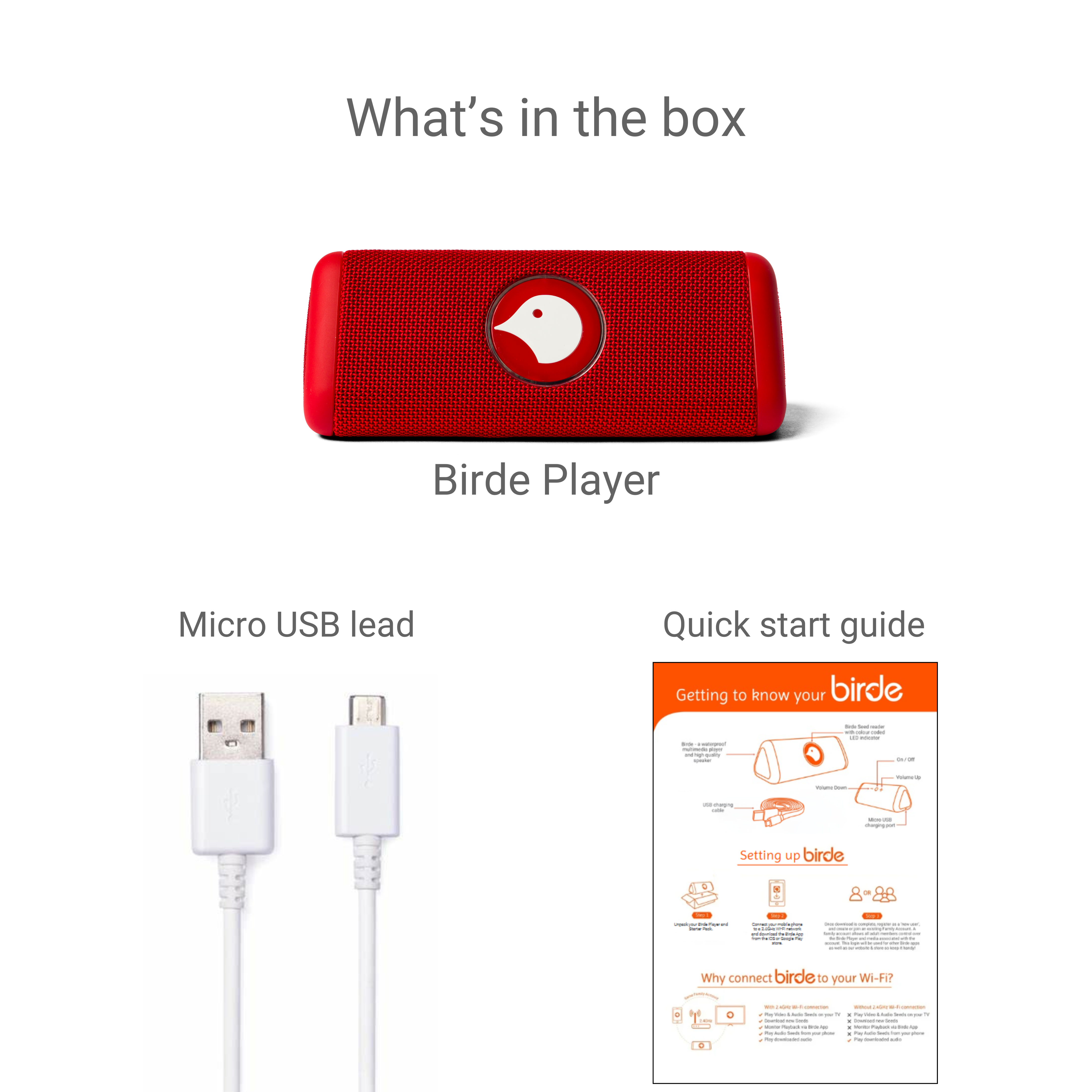 Disney | Birde Player - Cars Collectors Edition