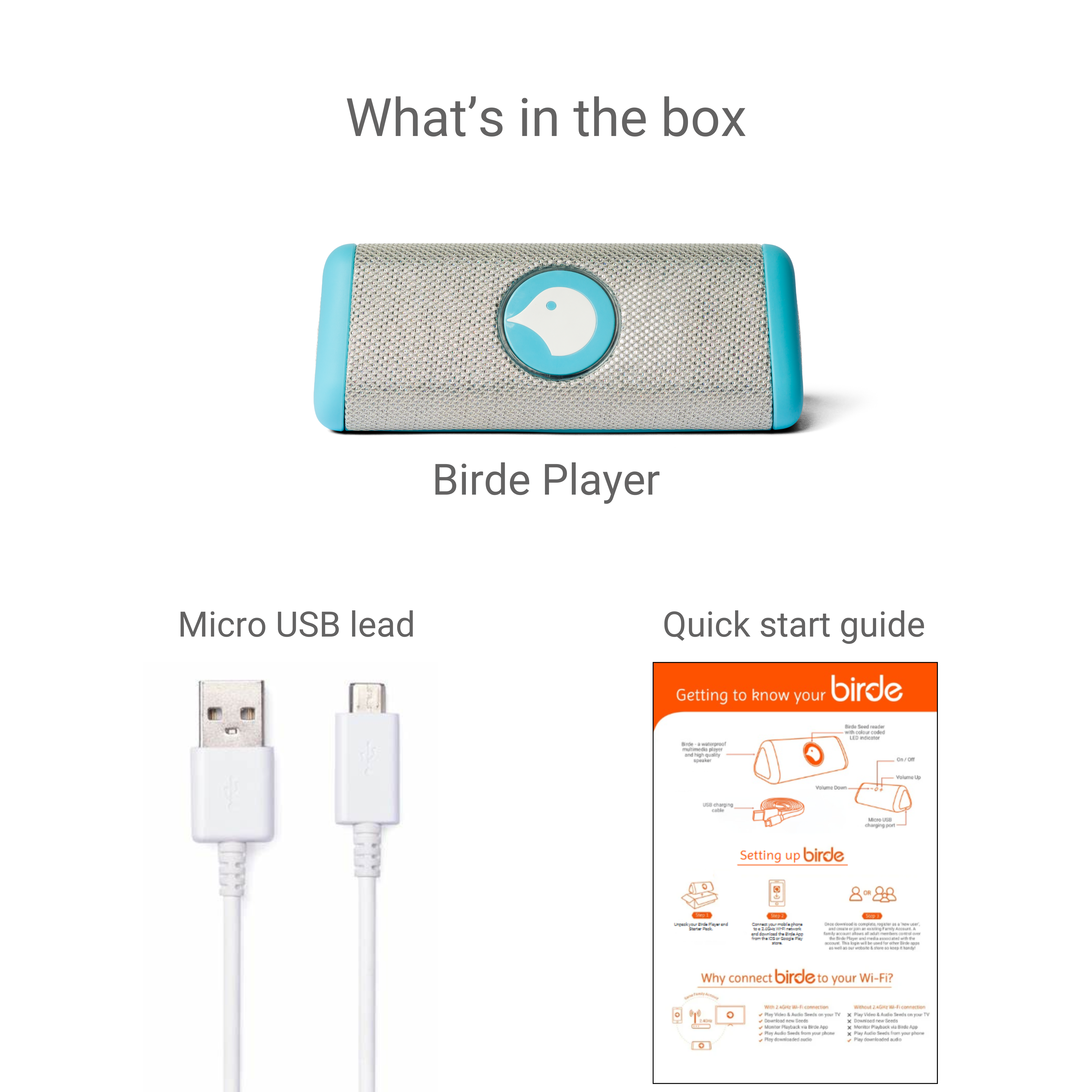 Disney | Birde Player - Frozen Collectors Edition