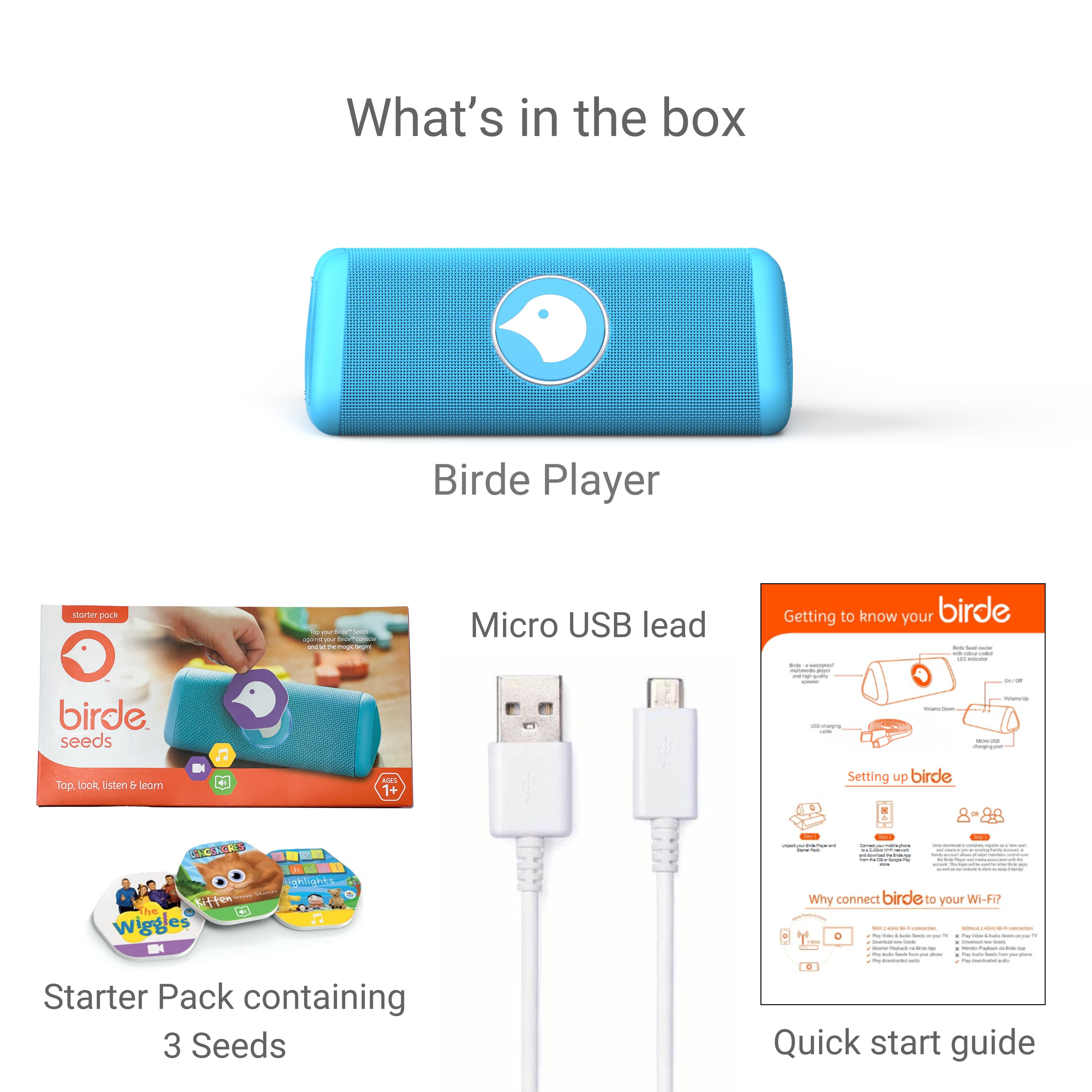 Birde Player - Blue Bundle