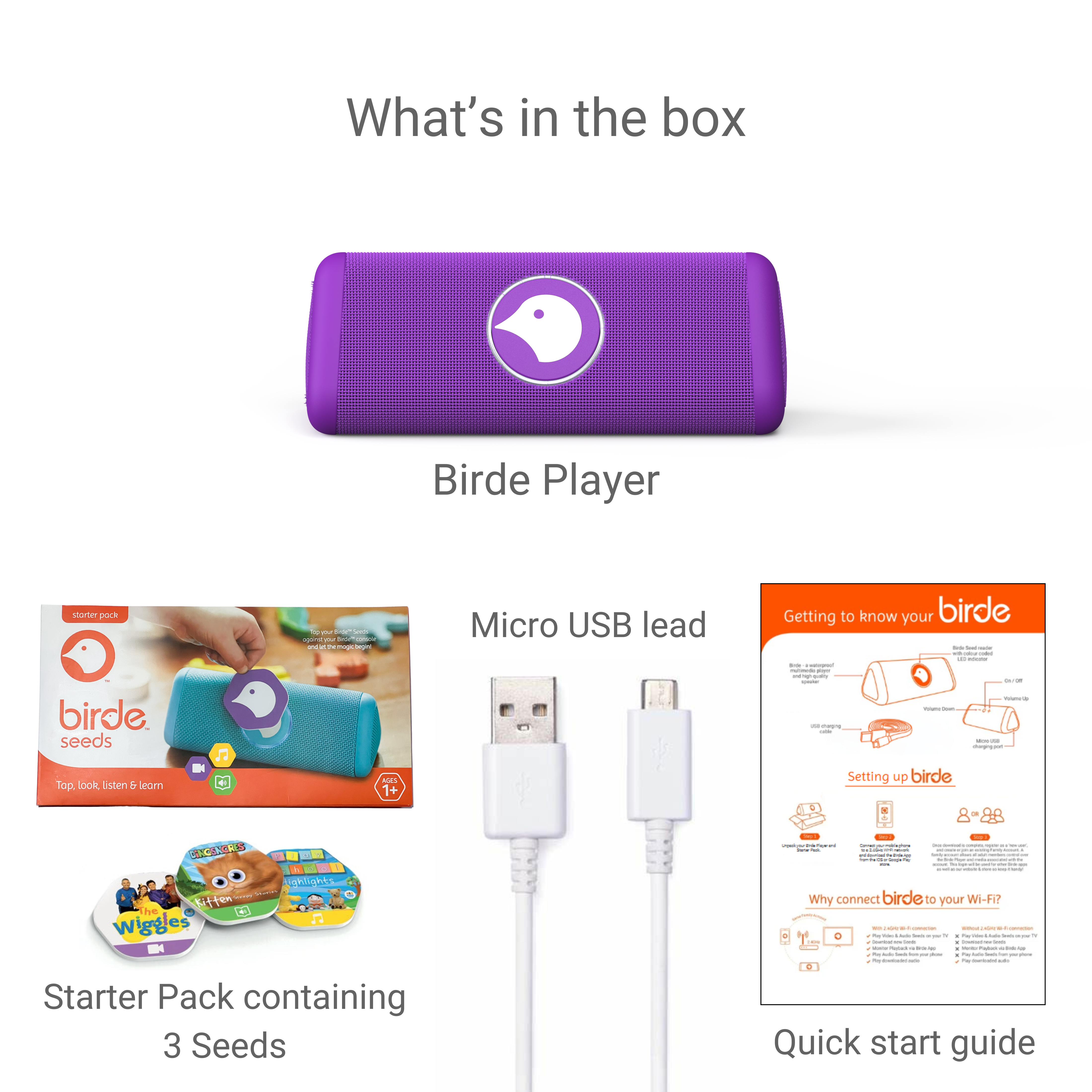 Birde Player - Purple Bundle