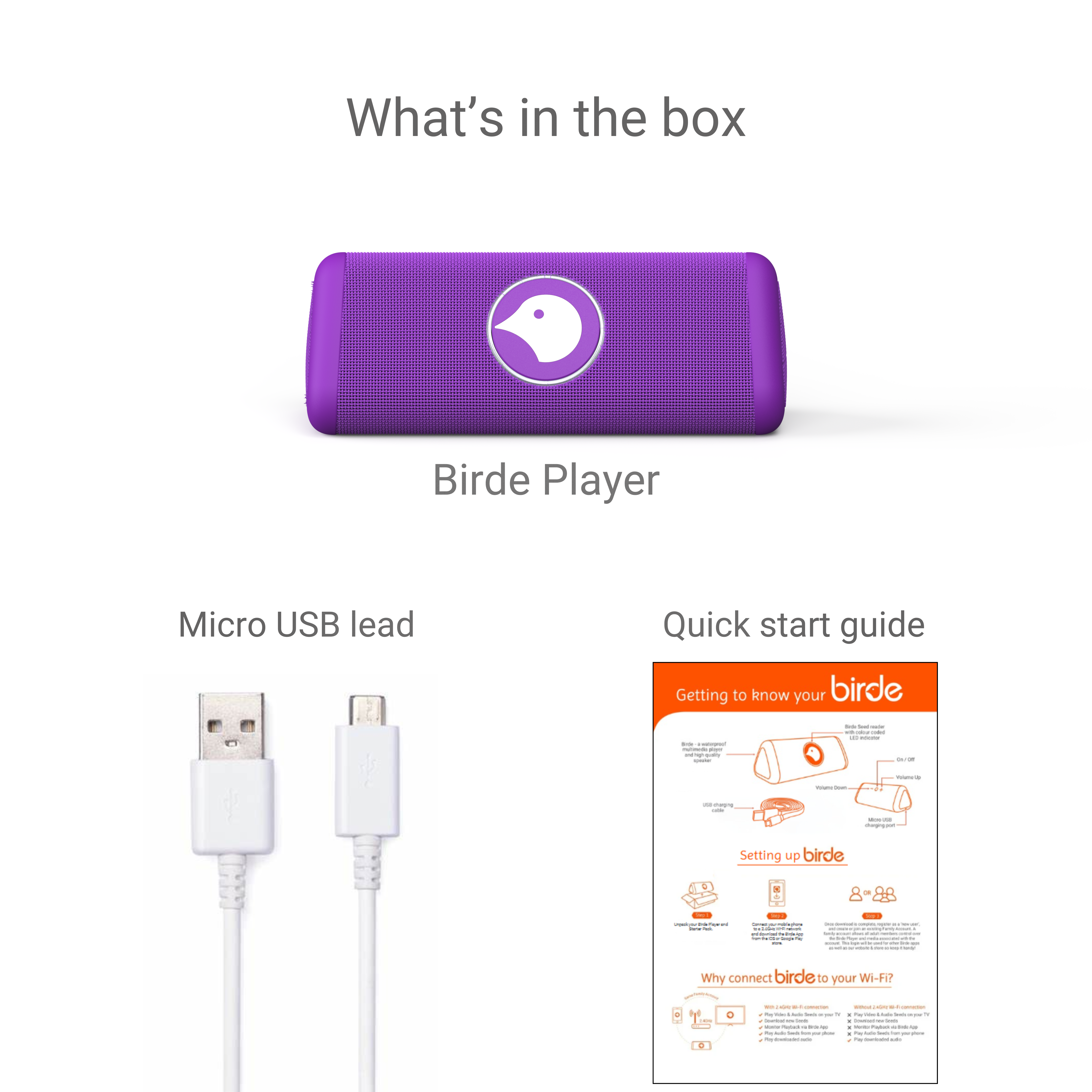 Birde Player - Purple