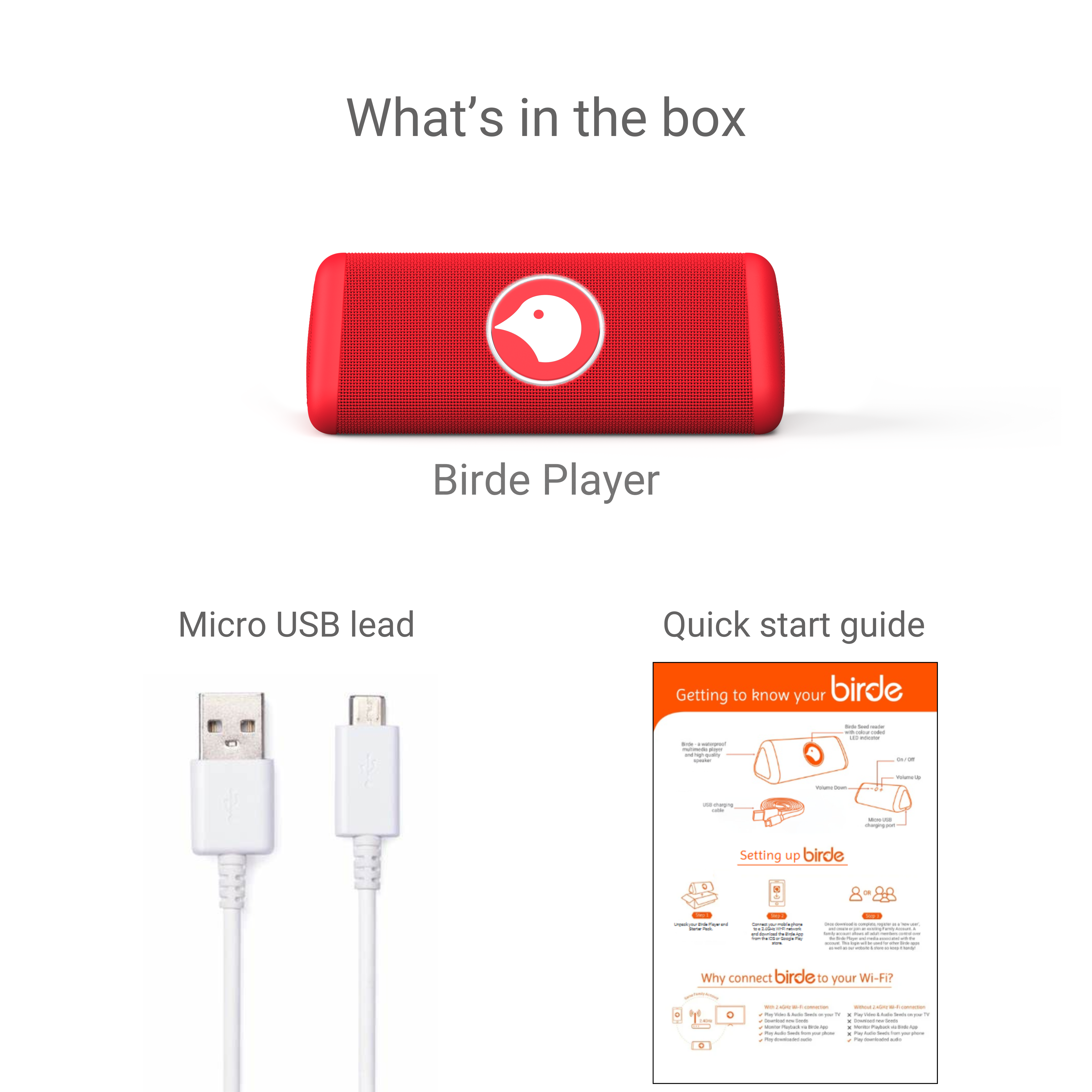 Disney | Birde Cars Player + 5 Auslan Tap & Play Book Bundle