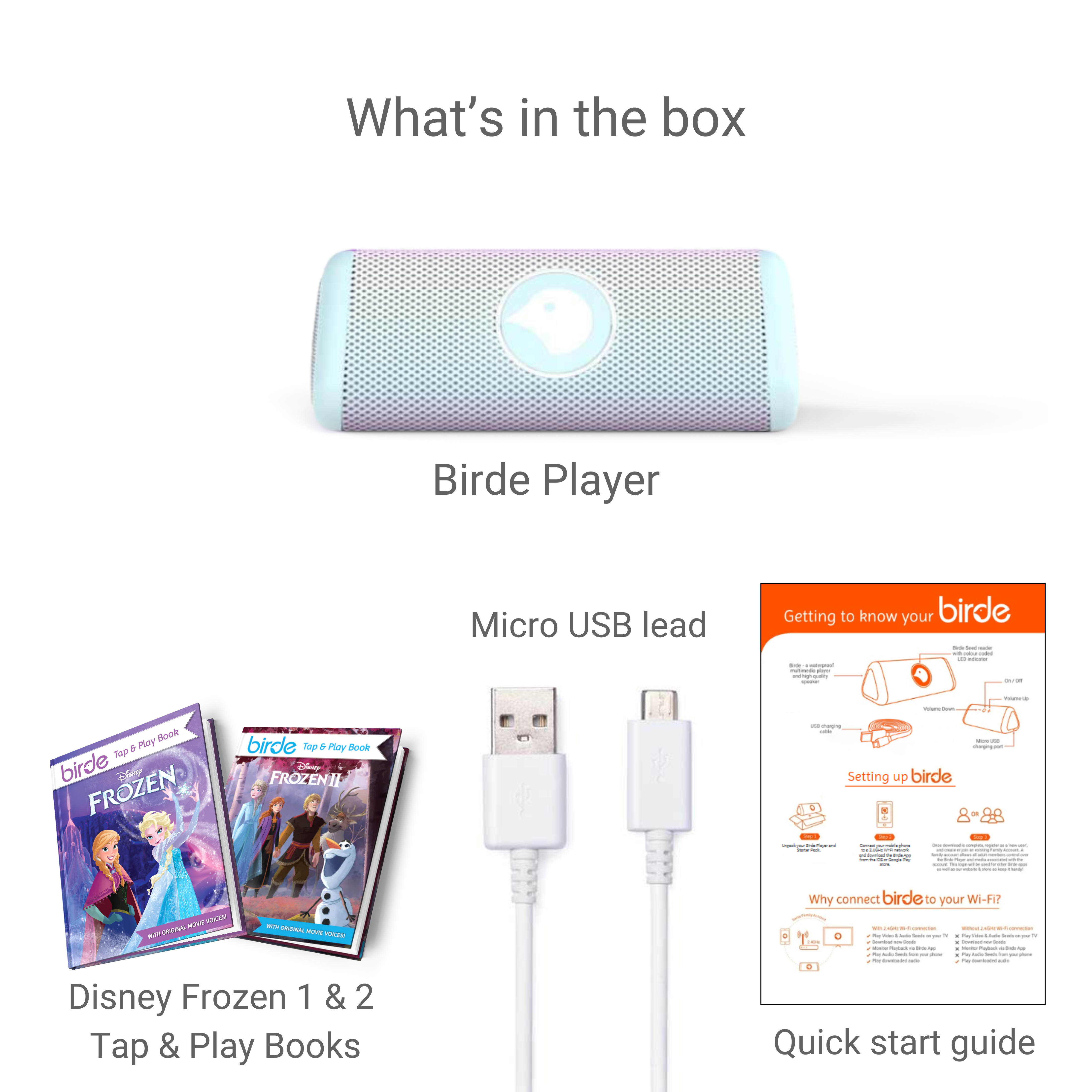 Disney | Birde Player - Frozen Collectors Edition Bundle