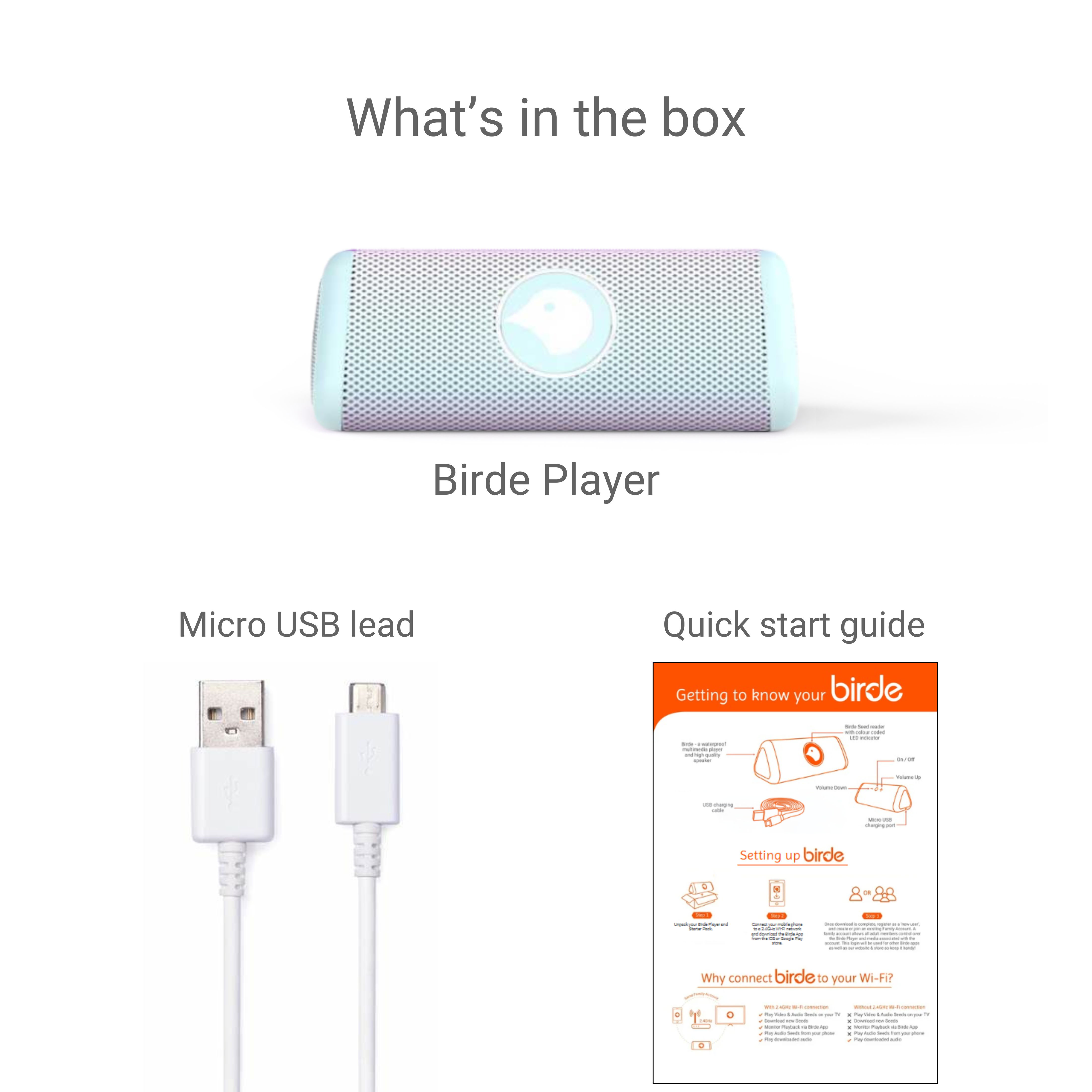 Disney | Birde Frozen Player + 5 Auslan Tap & Play Book Bundle