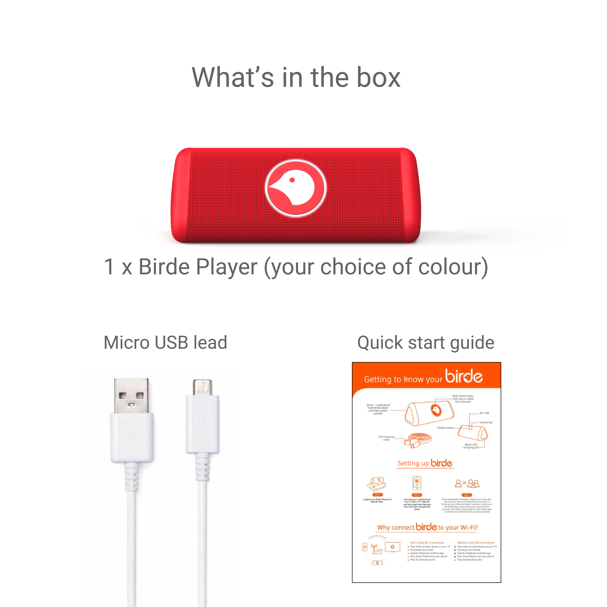 Birde Player & Seed Case