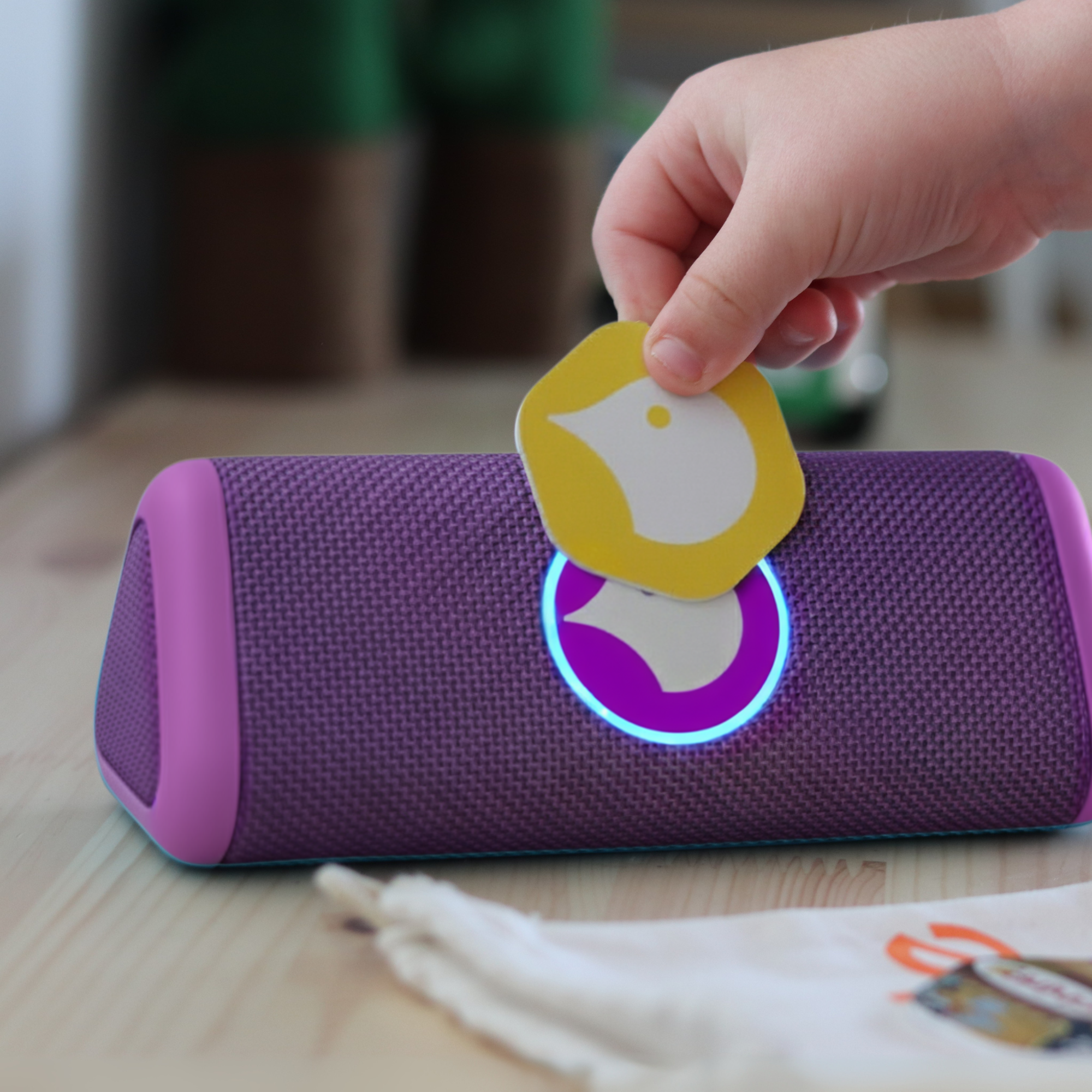 Birde Player & Seed Case