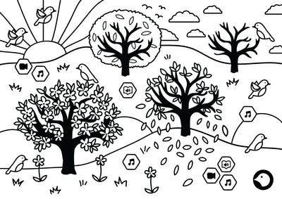 Four Seasons Colouring Page by Rosie Apps