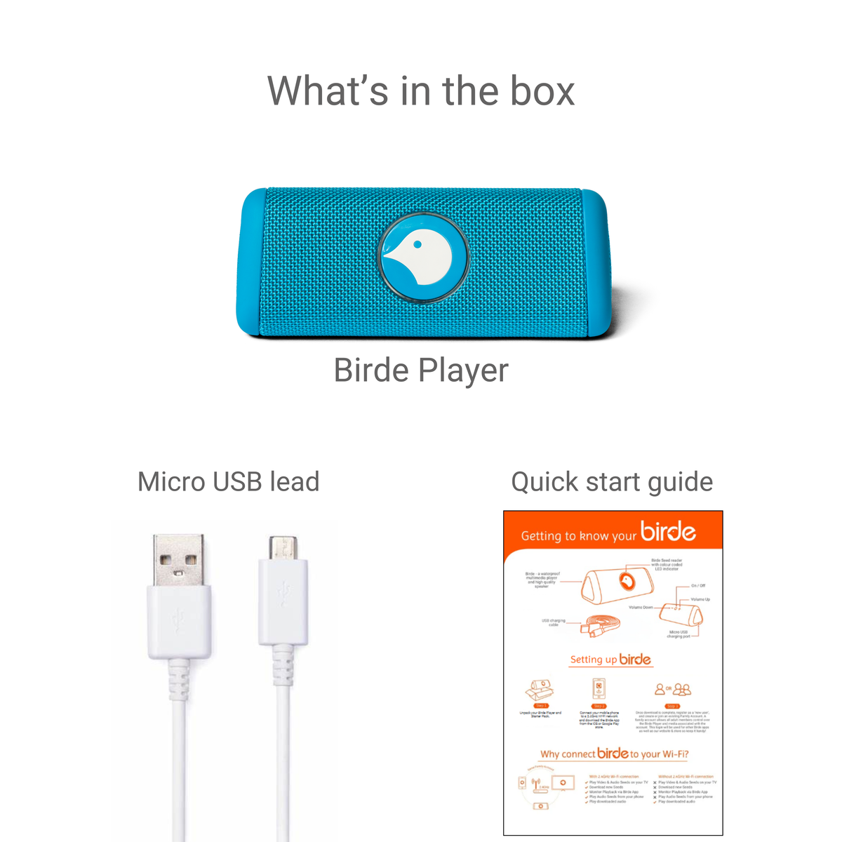 Birde Player - Blue