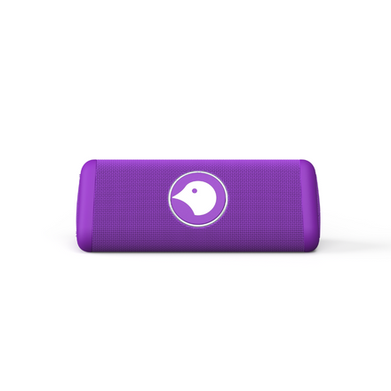 Birde Player with Micro USB Charging Cord - Purple