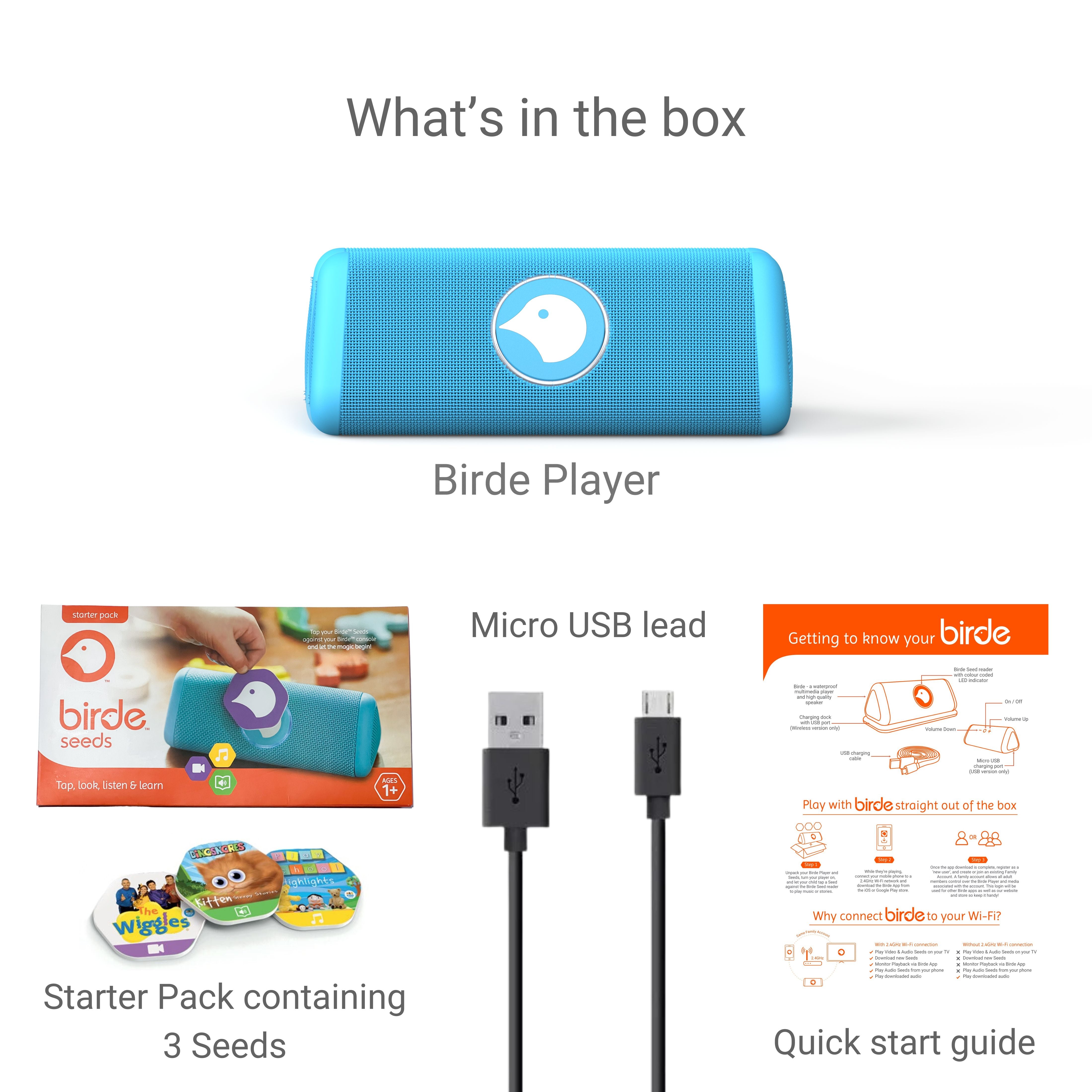 Birde Player - Blue