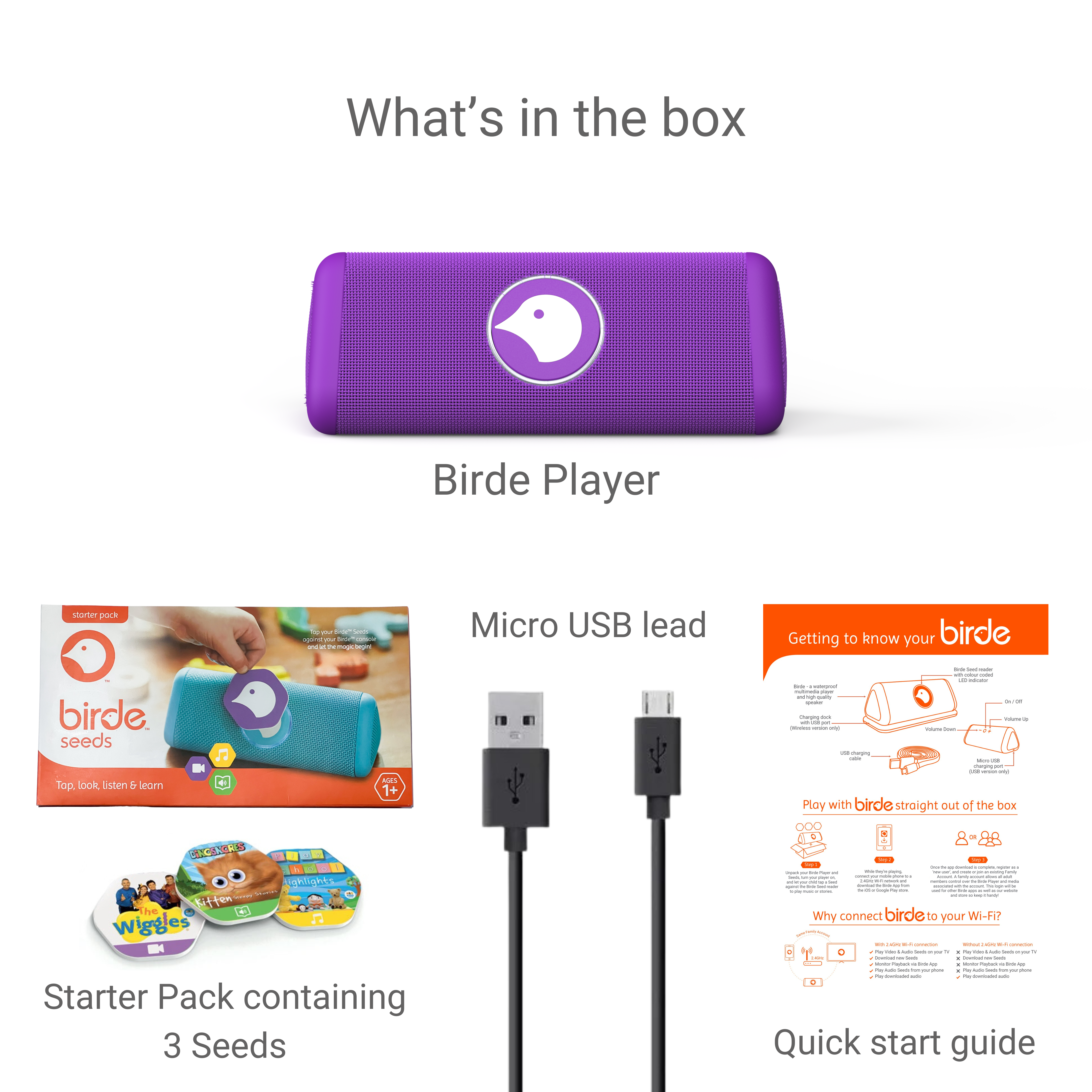 Birde Player  - Purple