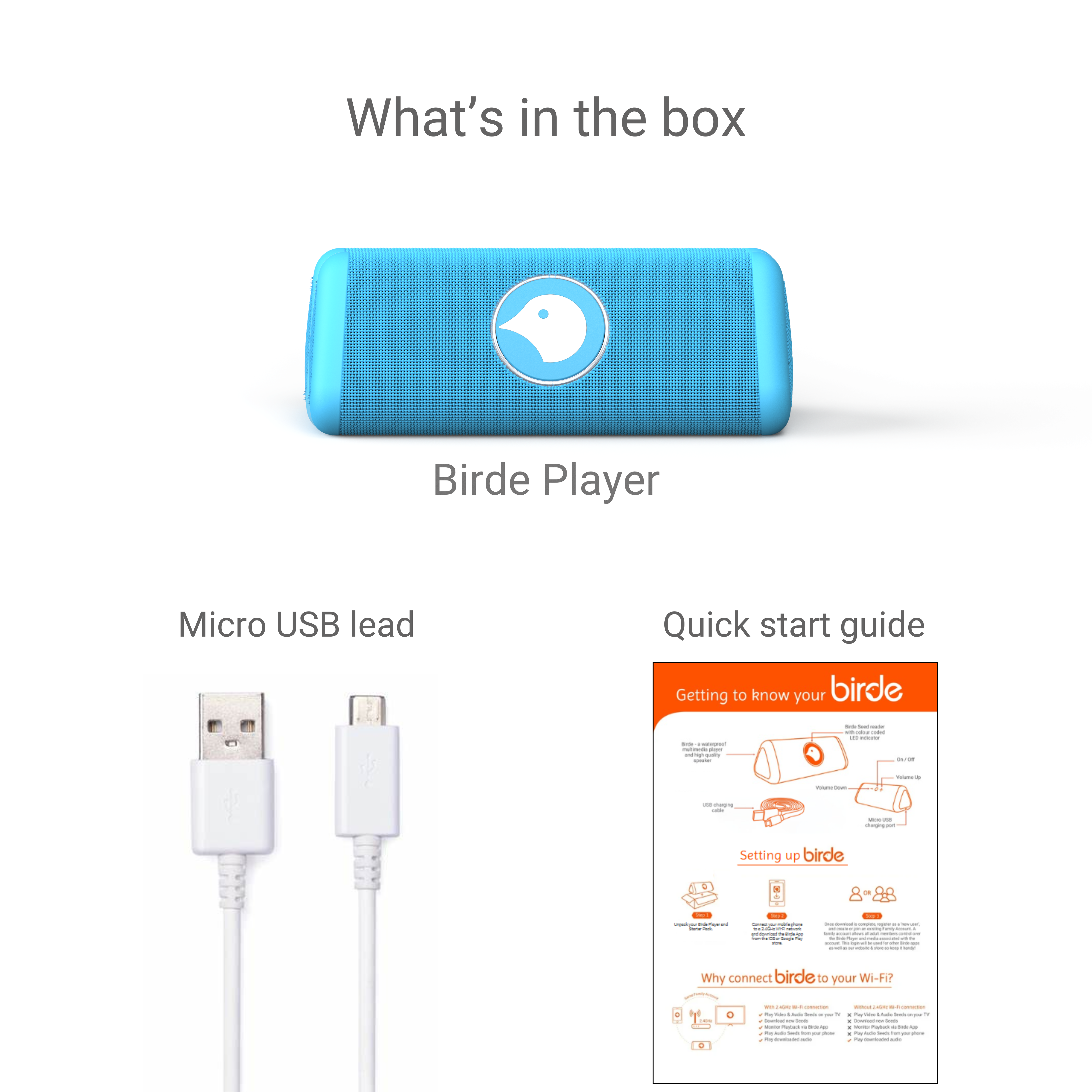 Birde Player - Blue