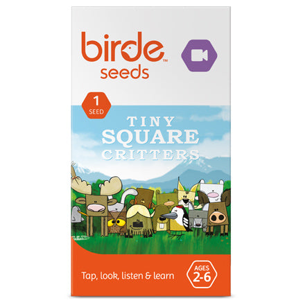 Tiny Square Critters